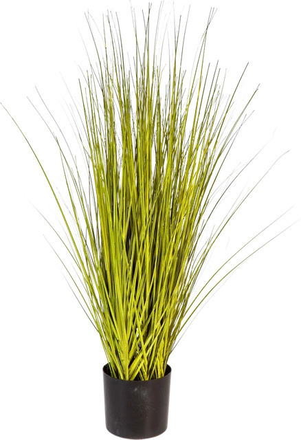 Aplanta Künstlicher Chinaschilf Bo mit Stiel, Höhe: 85 cm - Bild 1