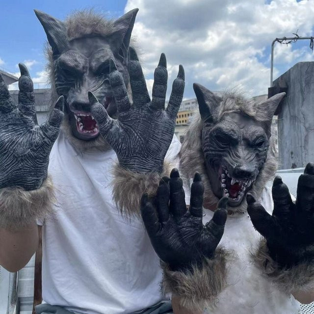 Halloween Wolf Kopf Haarmaske, Werwolf Handschuhe, Kostüm, Gummi - Bild 1