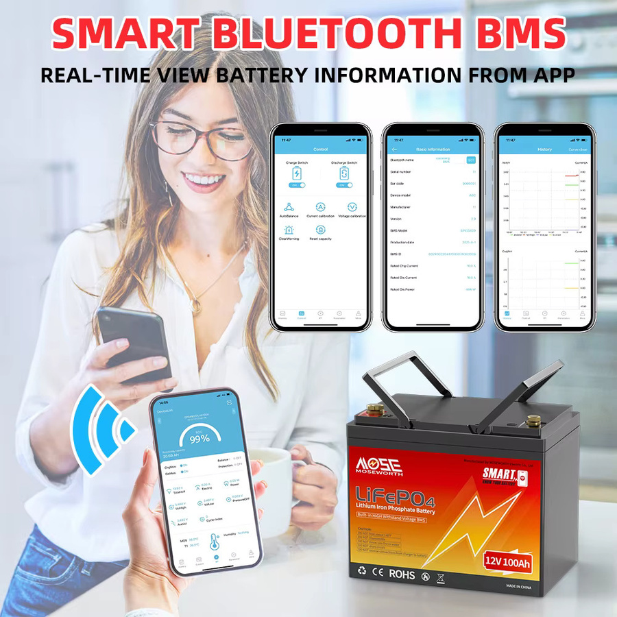 MOSEWORTH LiFePO4 Lithium-Batterie 12V 100Ah mit Bluetooth und 100A BMS in Schwarz - Bild 3