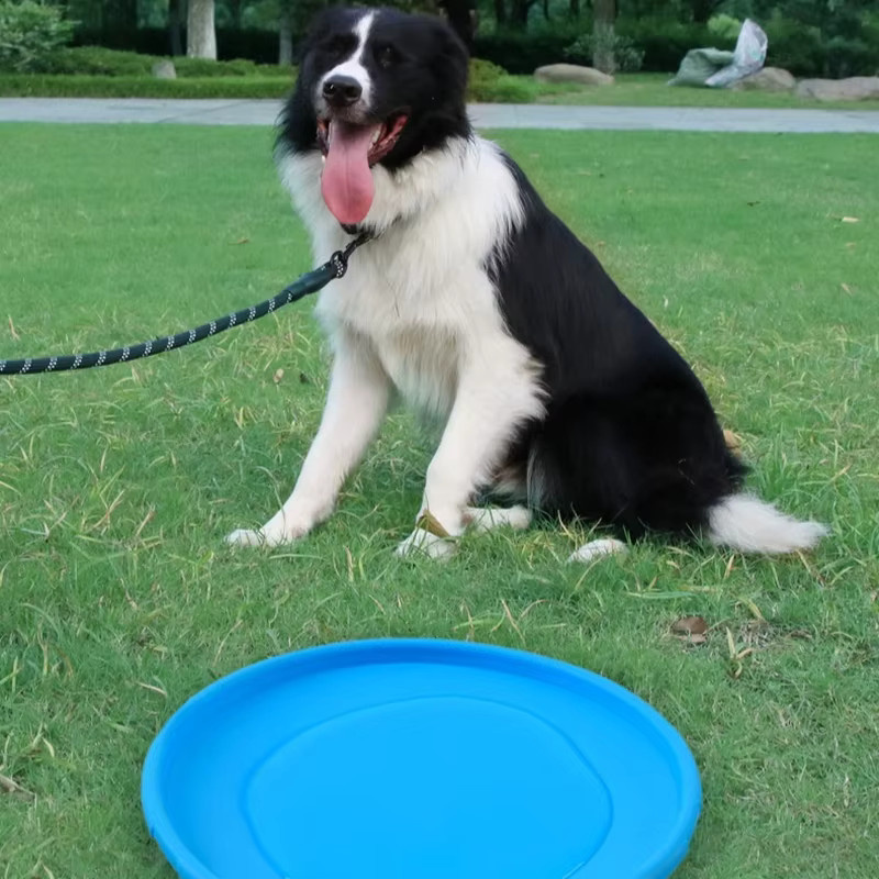 Meianju Hundefrisbee, aus Gummi, interaktives Trainingsspielzeug - Bild 3