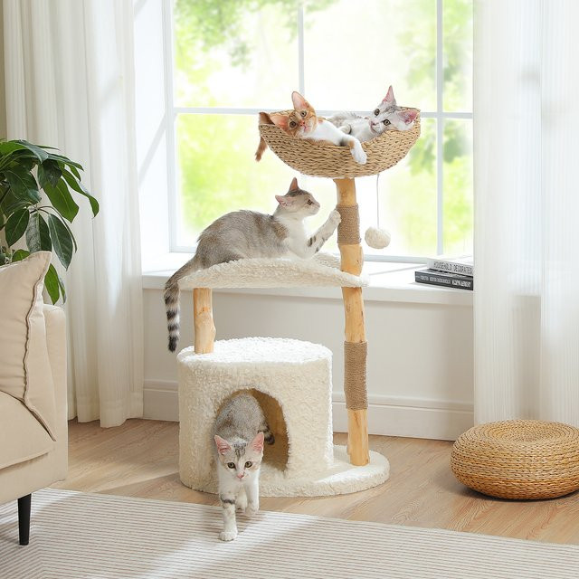 PAWZ Road Moderner Kratzbaumturm aus Massivholz mit Weidenkorb in Braun - Bild 1