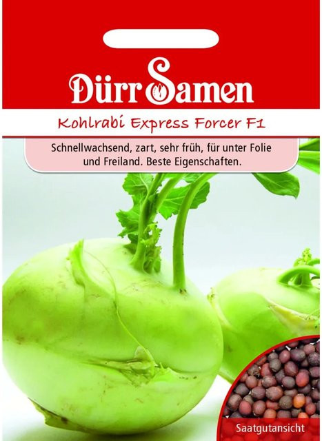 Dürr Kohlrabi Express Forcer F1 Saatgut für Frühsaaten - Bild 1