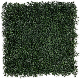FLOORDIREKT Pflanzenwand Boxwood Dark-Green – Künstliche Pflanzen zur Wandmontage in Grün, quadratisch, 50 x 50 x 50 cm - Bild 1