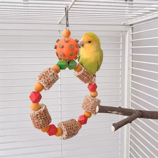HATELI Vogel-Kauspielzeug, Futtersuche, Puzzle-Ball, interaktive Schaukel, bunte Hängeringe - Bild 1