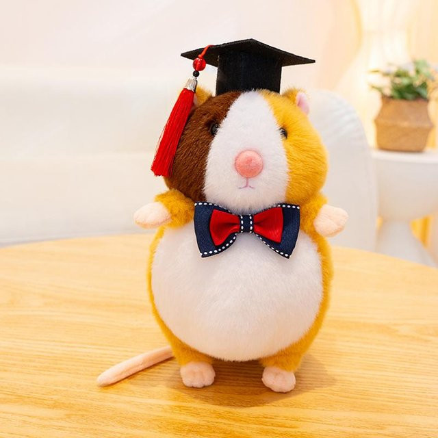 Yiran toy Doktor Hamster Meerschweinchen Puppe Plüschtier, 25cm, ab 14 Jahren - Bild 1