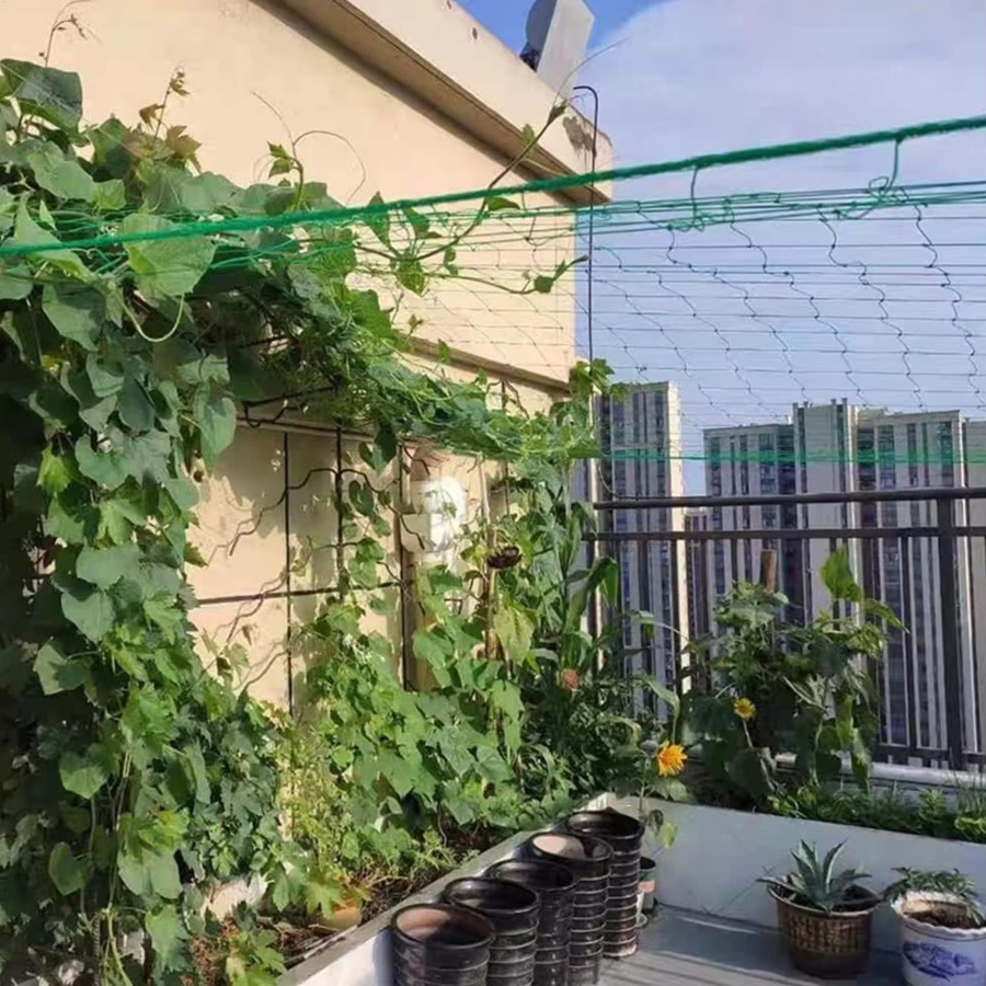 Grünes Garten-Kletternetz aus Polyester als Rankgitter für Blumen, Gemüse und Obst, B: 1,8 m, H: 1,8 m - Bild 3
