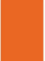 HEYDA Fotokarton Orange, 25 Stück, B: 25,0 cm, H: 30,0 cm, T: 0,7 cm - Bild 1