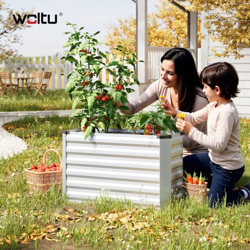 WOLTU Hochbeet aus Stahl als Gartenbeet und Pflanzkasten in Silber, B/T/H: 100 x 56 x 40 cm - Bild 1