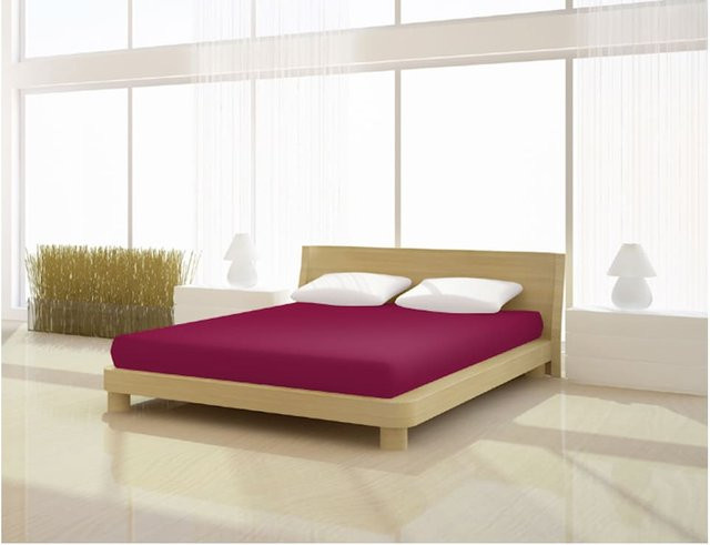 Mr. Sandman Spannbetttuch Basic aus Baumwolle und Elastan, Farbe: Lila, B/T: 140 x 200 cm bis 160 x 220 cm - Bild 1