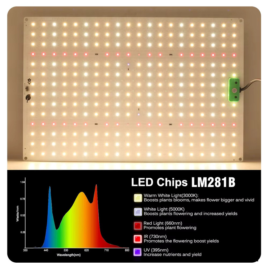 GRAXGROW Vollspektrum LM281B LED Pflanzenlampe mit einstellbarem Spektrum für Hydroponik und Gewächshäuser in allen Wachstumsphasen - Bild 2