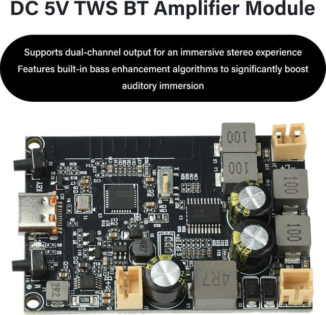 diymore Bluetooth-Verstärkermodul mit TWS-Funktion und Bassverstärkungs-Algorithmus, 2x10W, Typ-C-Schnittstelle, Schwarz - Bild 1