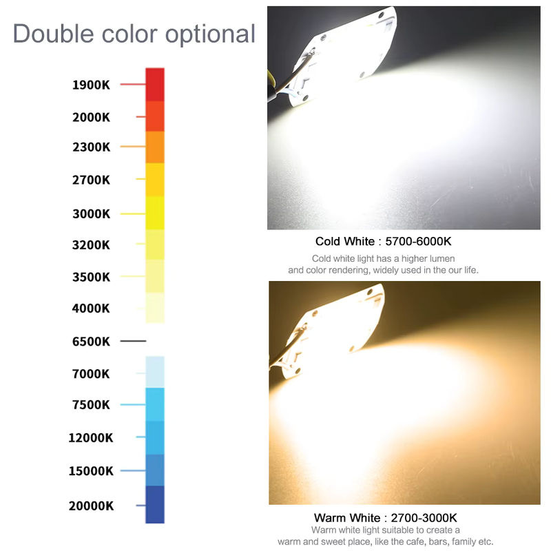 PARKSON COB Chip LED Lampe für Flutlicht Scheinwerfer, 220V, Farbe: Cool White - Bild 4
