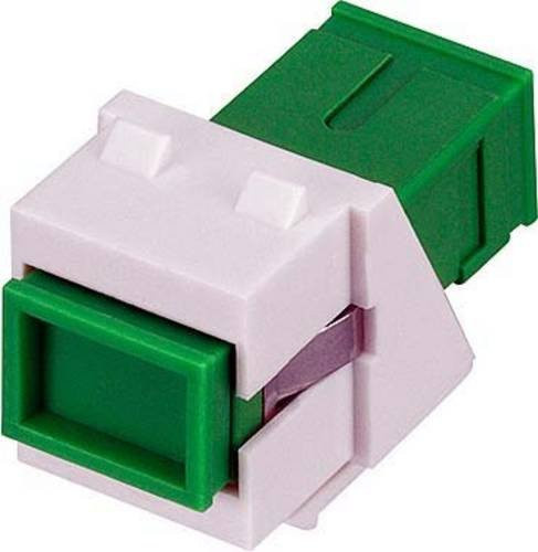 Rutenbeck LWL-Modul in Grün und Weiß - Bild 1