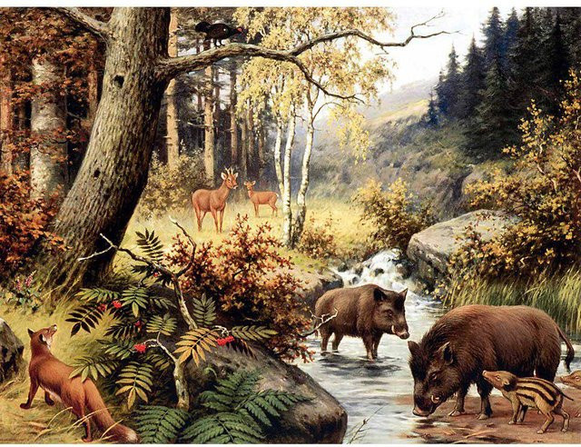 FIYO Diamant-Stickerei Wildschwein Motiv als Mosaik-Malerei in Multicolour, B x H: 30 x 40 cm - Bild 1
