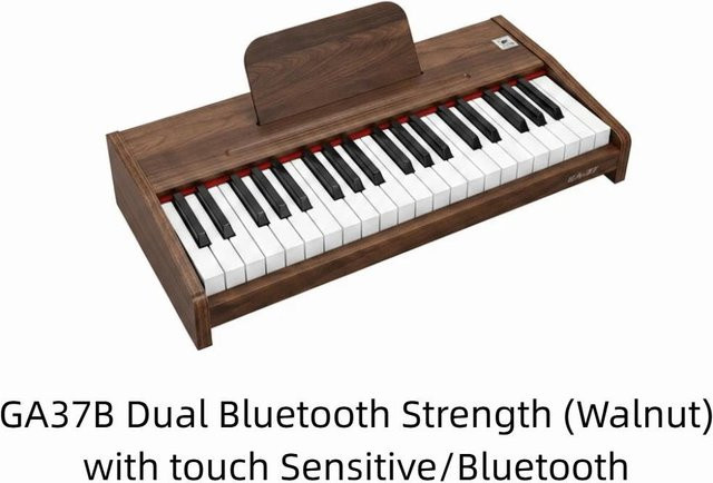 Binchi Outdoor Product Kinderklavier, Elektronische Klaviertastatur, Holz, ab 3 Jahre - Bild 1