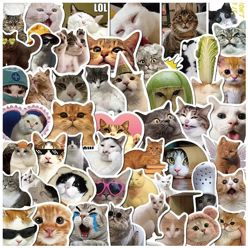 Lustige Katzen Meme Aufkleber Set für Laptop Skateboard und Koffer in Multicolour - Bild 3