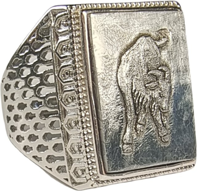 Ring 925 Silber, Muonionalusta Meteorit, Unisex - Bild 1