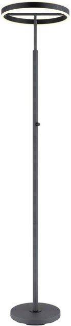 GLOBO Stehlampe aus Aluminium und Acryl in Schwarz Anthrazit, Höhe: 181 cm, Breite: 40 cm - Bild 1
