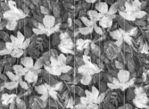 Jannelli & Volpi Mural Bronte Tapete in Grau mit abstraktem botanischem Design aus Vinyl - Bild 1