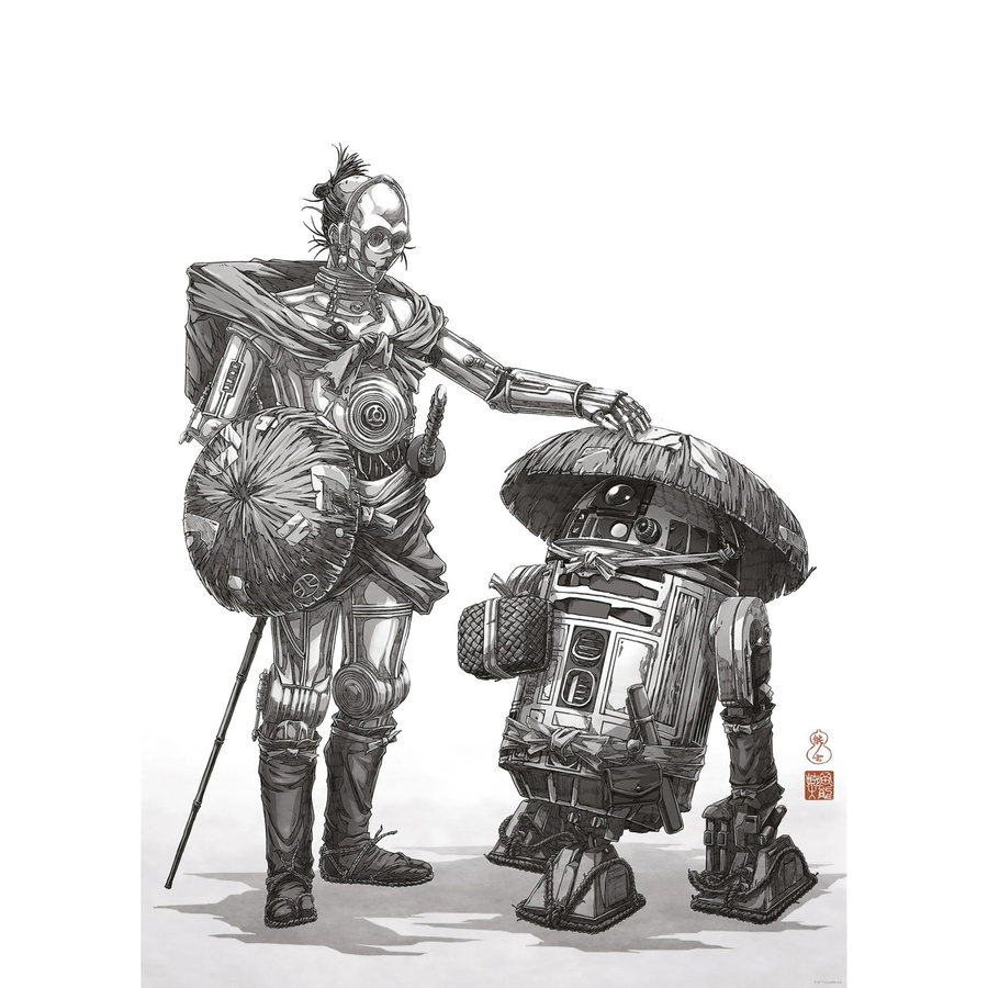 Komar Wandbild Star Wars Vision Samurai Droids Paper Poster Schwarz-Weiß, Breite: 50 cm, Höhe: 70 cm - Bild 2