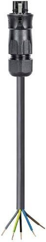 Wieland Electric Anschlussleitung Schwarz 96.453.5034.1 - Bild 1