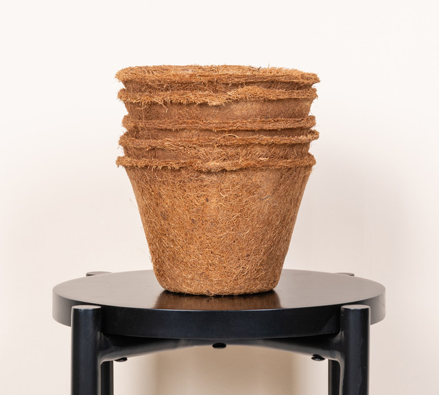 5er Set runde Kokos Pflanztöpfe von BLUME2000 in Braun zur Anzucht im Garten, Durchmesser: 15 cm, Höhe: 12 cm - Bild 1