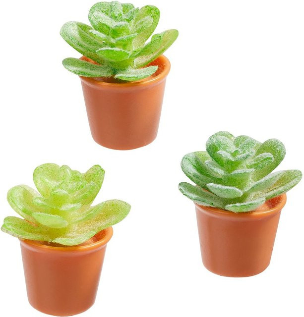 HobbyFun Miniatur Blumentopf Mini-Gardening Wichtelszene Puppenhaus Grün - Bild 1