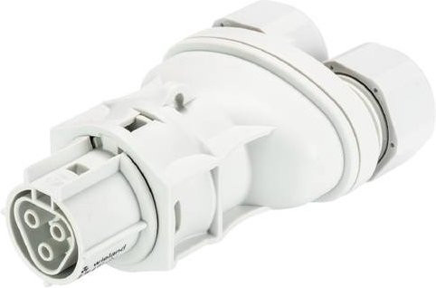 Wieland Electric 96.031.4253.0 Steckverbinder in Grau und Weiß - Bild 1