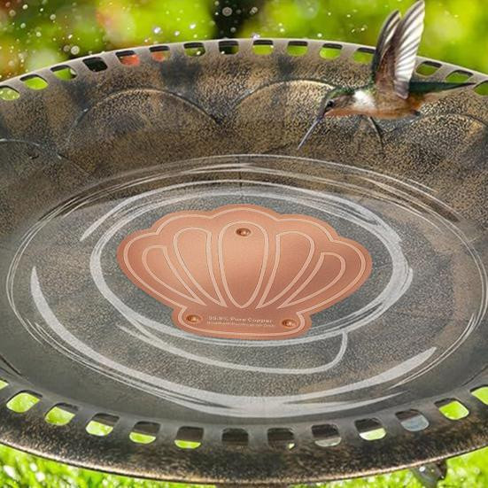 Kupfer-Reinigungs-Scheibe für Vogelbäder in Gold, runde Kupferscheibe 0,8 mm Dicke zur physikalischen Reinigung von Vogelschalen - Bild 2