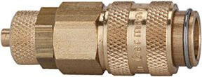 Riegler Schnellverschlusskupplung NW 5 aus Messing in Gold mit Schlauchanschluss 8x6 mm - Bild 1