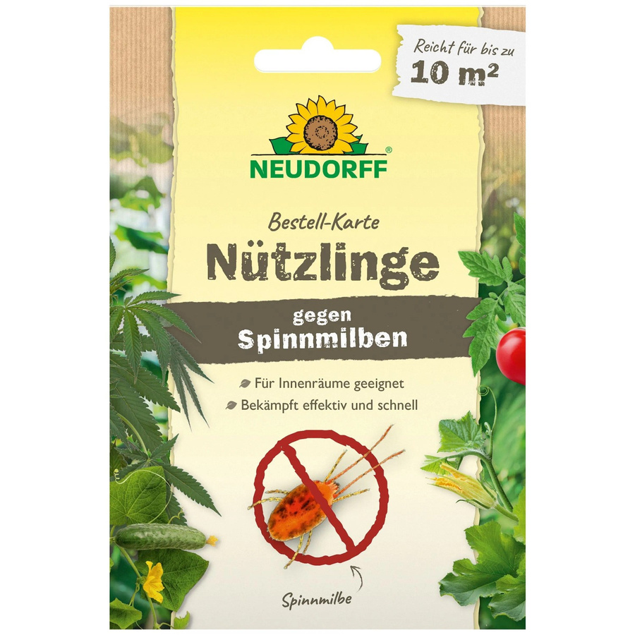 Neudorff Nützlinge zur biologischen Bekämpfung von Spinnmilben für 10 m² - Bild 2