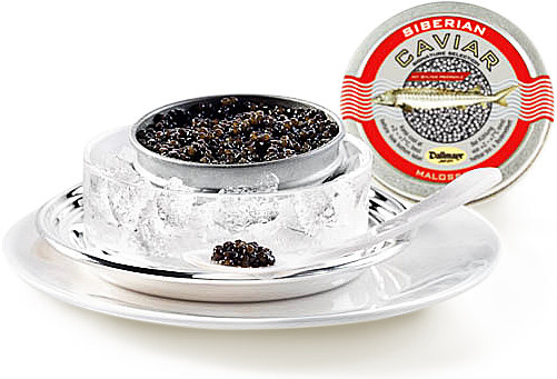 Dallmayr Siberian Malossol Caviar Signature 100 g - Bild 1