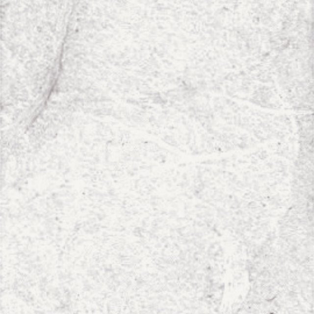 folia Faserseide aus Maulbeerbaumfasern in Weiß, B: 47 cm, H: 64 cm - Bild 1