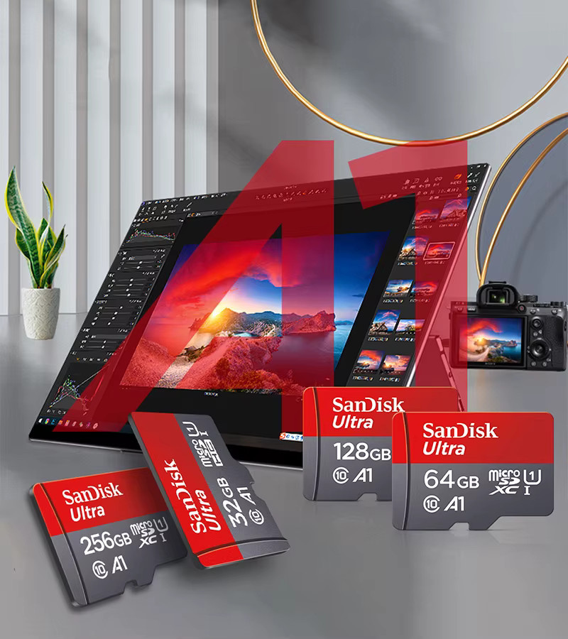SanDisk microSD Speicherkarte Class 10 UHS-1 mit Kartenleser, 256 GB - Bild 3