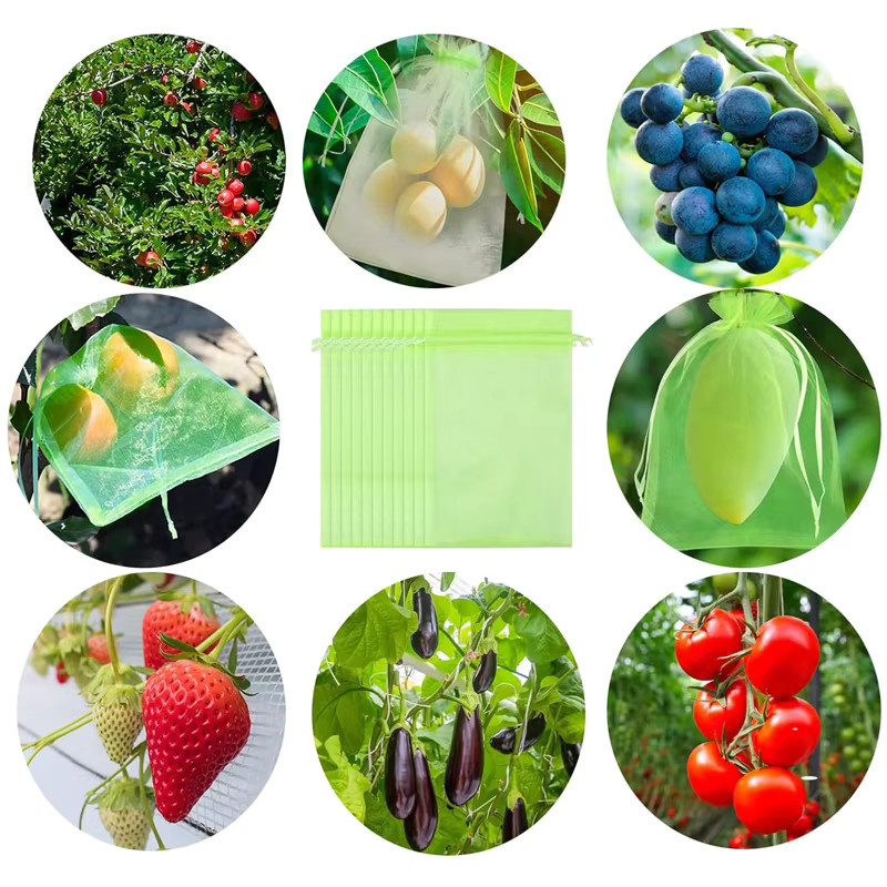 Wiederverwendbare Organza-Netzbeutel in Grün als Traubenschutzbeutel und Schädlingsbarriere für Obst und Gemüse mit Kordelzug - Bild 5
