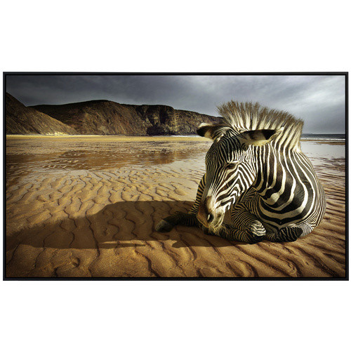 papermoon Infrarotheizung EcoHeat Strandzebra mit Matt-Effekt in Bunt, App-Steuerung und Überhitzungsschutz - Bild 2