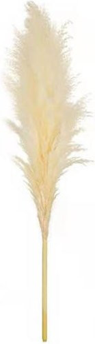 Thalassa Künstliches Pampasgras in Beige, Flauschige Boho Deko für Heim, Büro und Hochzeitsfeier - Bild 1
