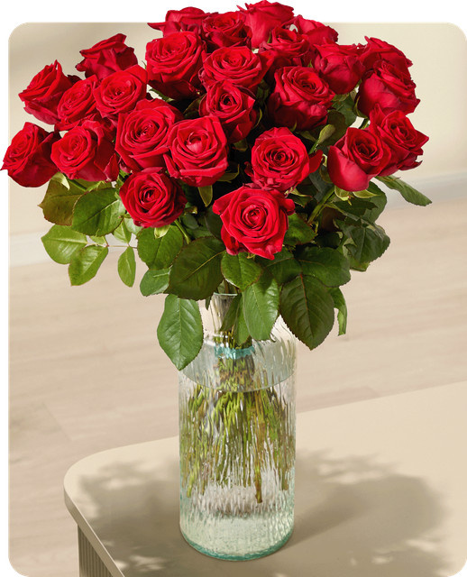 BLUME2000 Rosen red 25 Stiele - Bild 1