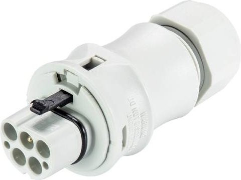 Wieland Electric 96.042.4153.0 Steckverbinder in Grau und Weiß - Bild 1