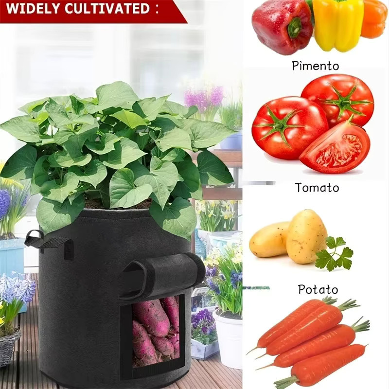 Grüne Pflanztaschen aus Stoff für Garten und Gemüseanbau - Bild 2