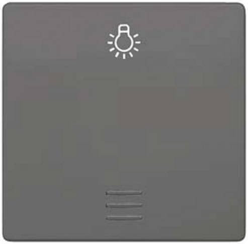 Siemens DELTA i-system Wippe mit Fenster und Lichtsymbol für Taster in Carbonmetallic und Grau 5TG6226 - Bild 1