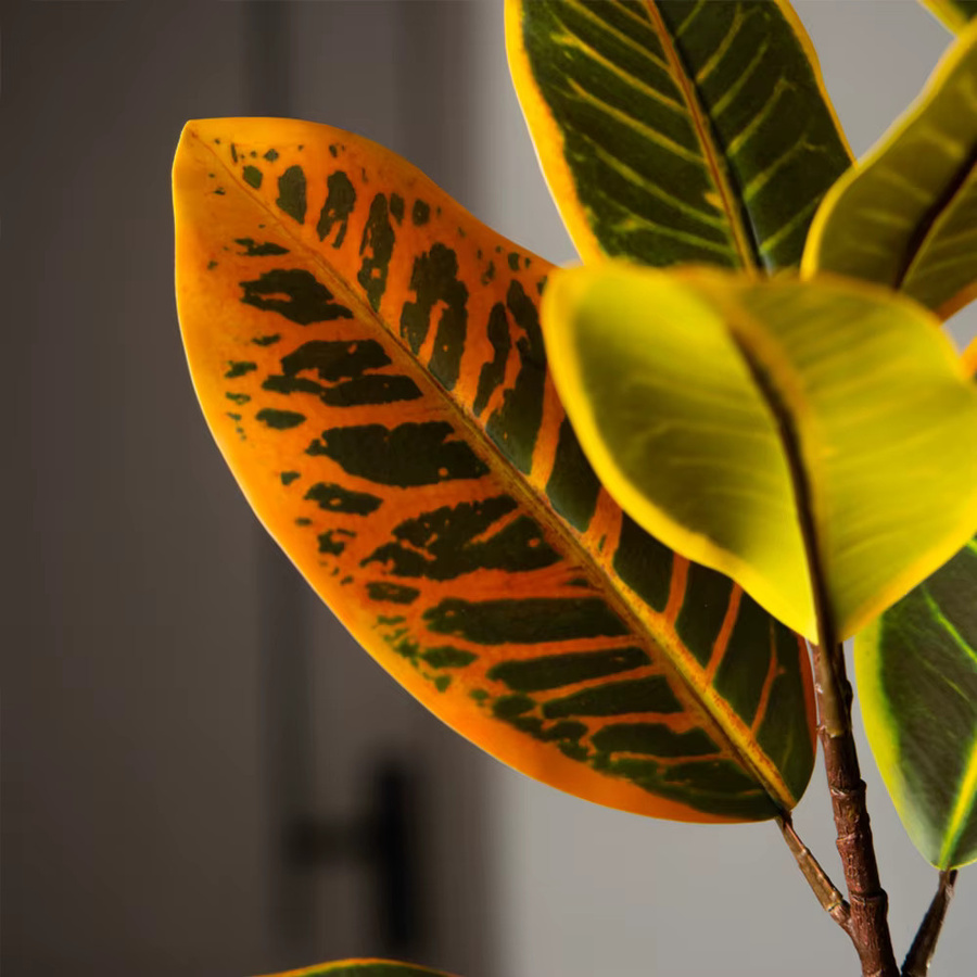 Künstlicher Ficus-Baum von Kmitang mit großen Banyan-Blättern aus Kunststoff für deine Haus- und Gartendekoration, B/T/H: 58 x 58 x 115 cm - Bild 6