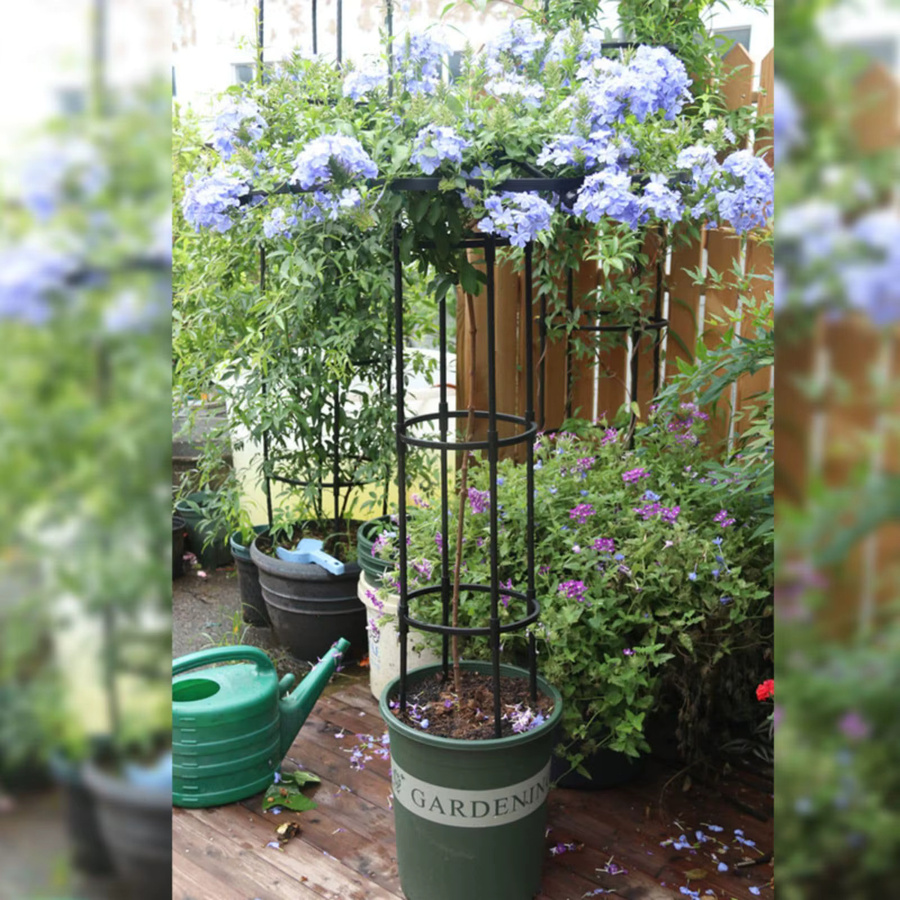 HiMISS Garten-Rundspalier aus Stahl als vertikale Kletterpflanzen-Stützstruktur und Schirmspalier-Turm - Bild 3
