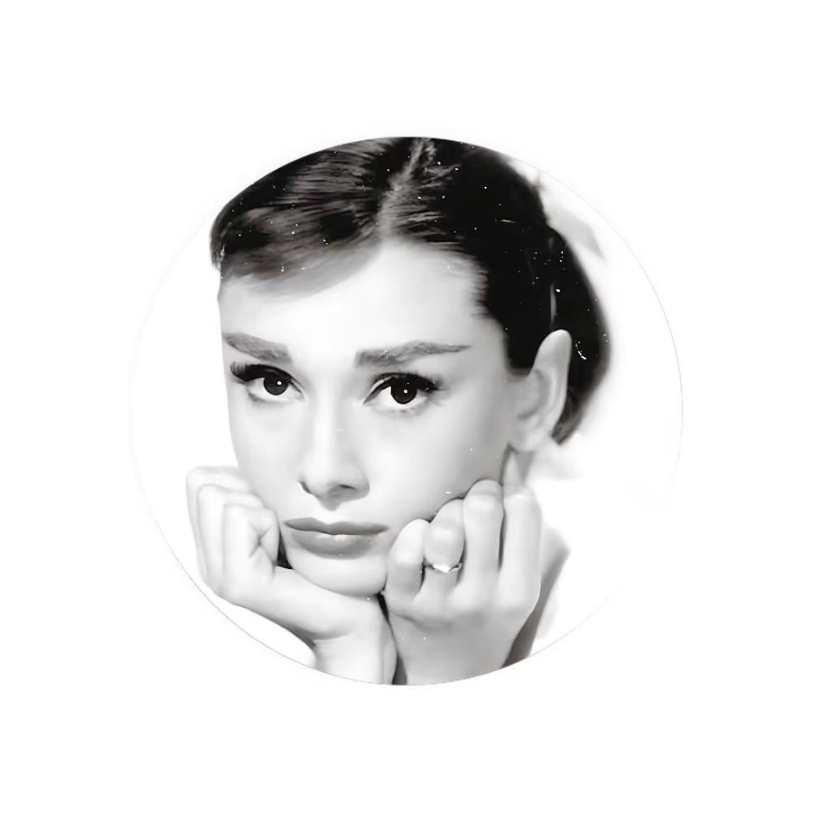 52TOYS Brosche Metall, Weißblech, A-Audrey H-Hepburn - Bild 7