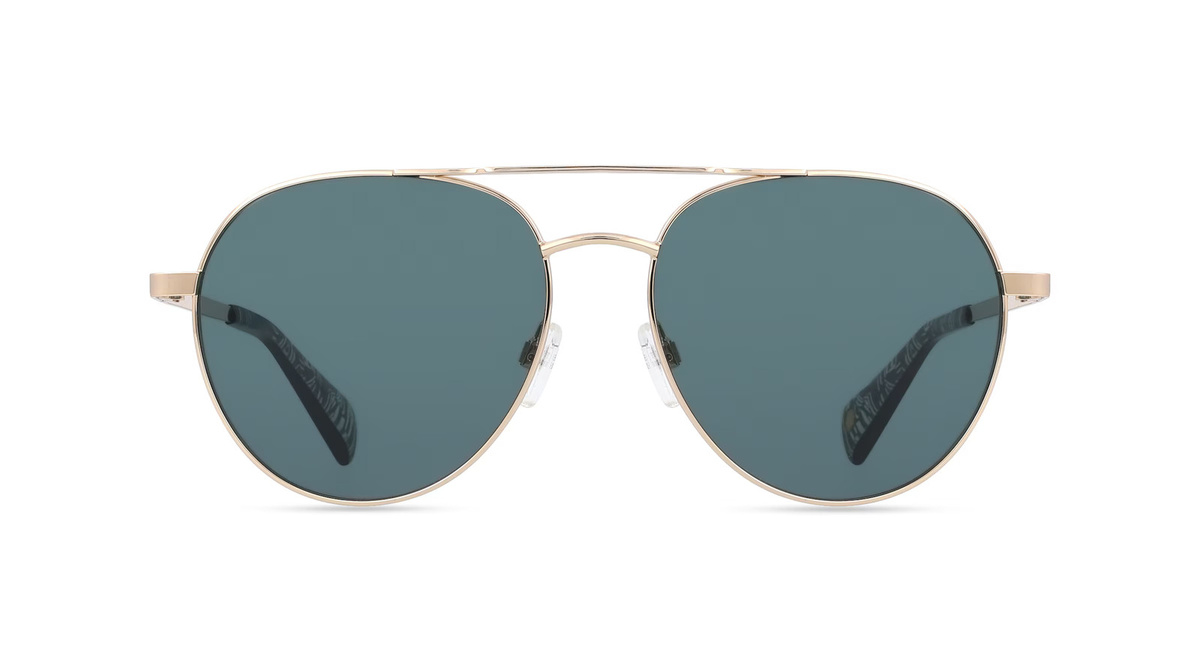 Ted Baker TB 1682 Sonnenbrille Pilot, Vollrand, Metall, gold, Herren - Bild 1