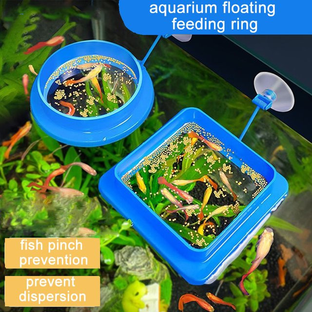 TUNFAN Aquarium Fisch Fütterungsring in Blau als schwimmende Fütterungsstation mit Saugnapf zur Vermeidung von Futterstreuung - Bild 1