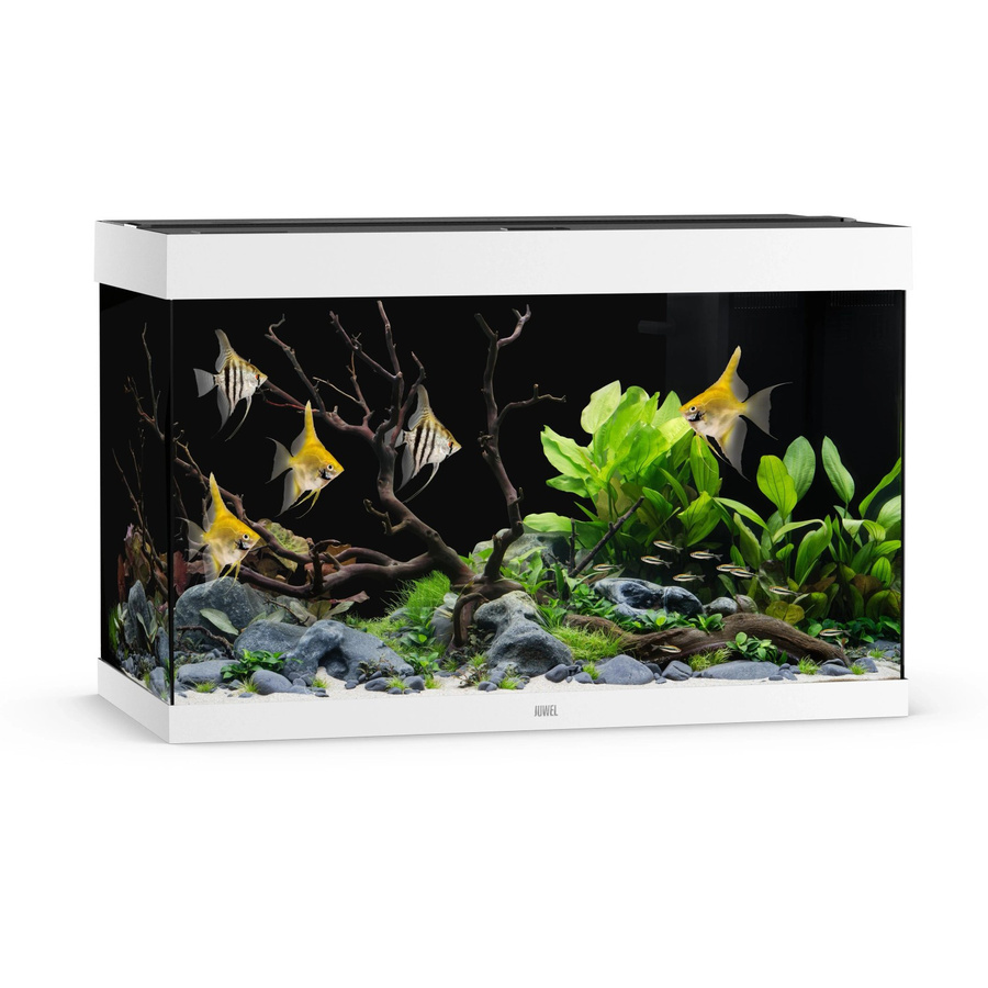 Juwel Aquarium Rio 290 LED Weiß - Bild 2