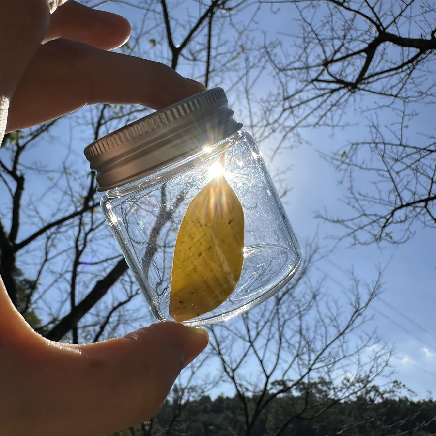 Mini-Glasflaschen Set mit silbernen Schraubverschlüssen, transparente Glasgefäße für Gewürze, Samen und DIY-Projekte, 50 ml - Bild 2
