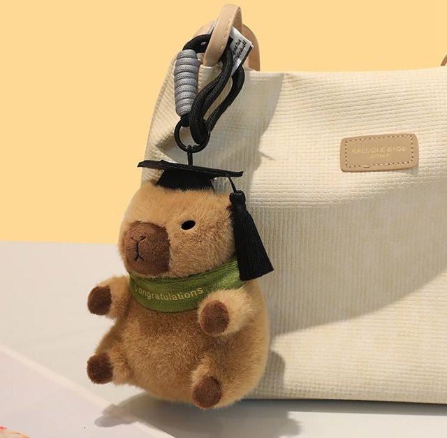 Yiran Health & Beauty Capybara Absolventen Plüschtier, Schlüsselanhänger, 15cm - Bild 1