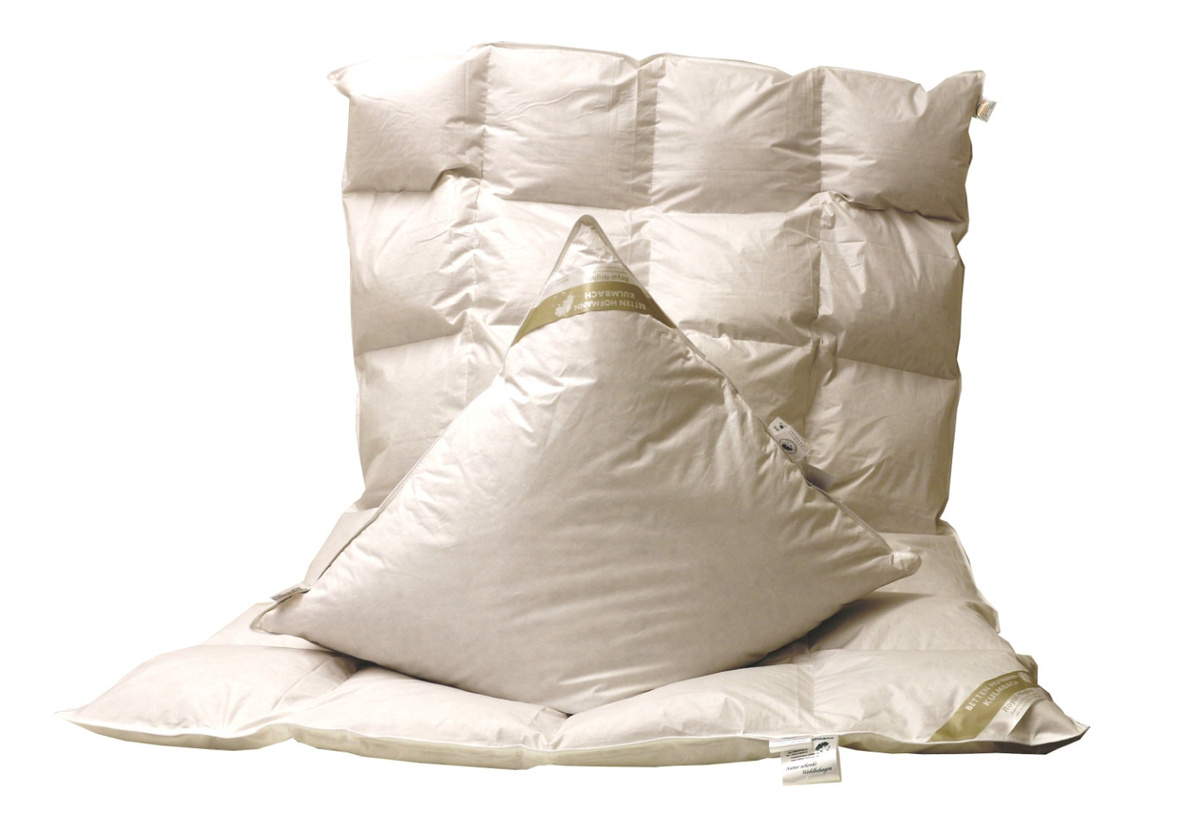 Betten Hofmann Daunenset bestehend aus Bettdecke und Kissen in Weiß, B/H: 155 x 220 cm - Bild 1